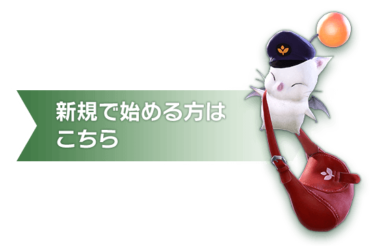 新規で始める方はこちら